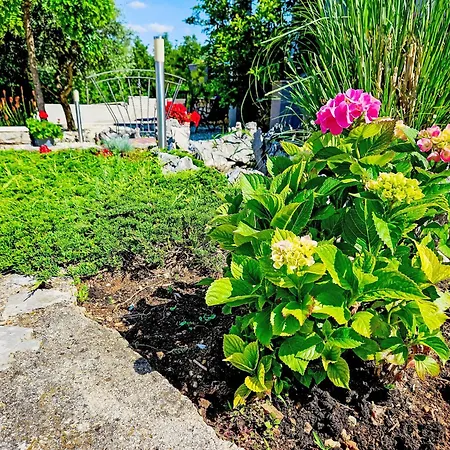 Apartmán Segulja-1 By Interhome *